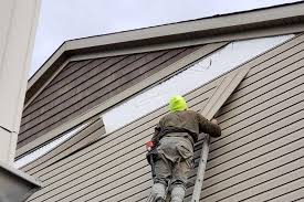 Best Insulated Siding Installation  in Fanning Springs, FL